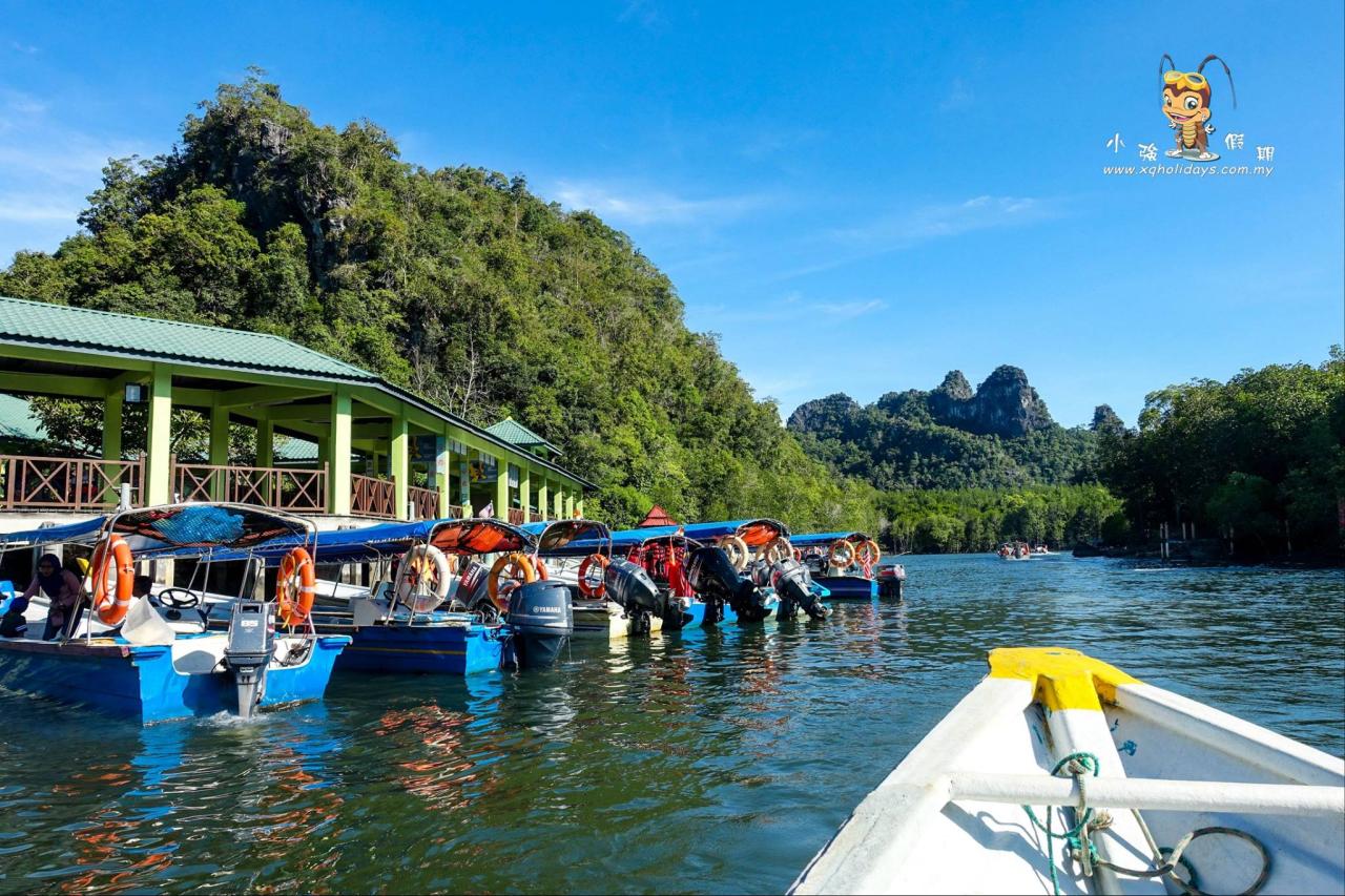 Jelajahi Ekosistem Mangrove Langkawi yang Menawan dengan Mangrove Tour Langkawi